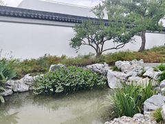 -上海滨江森林公园