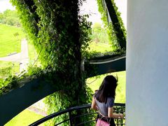 -芒洲湿地公园