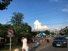 -苏州乐园森林水世界