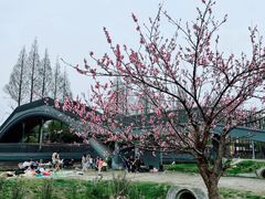 -蜀绣公园