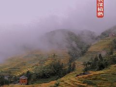 -紫鹊界梯田景区