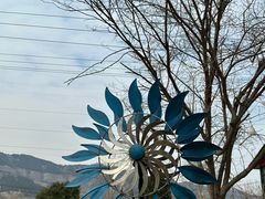 -二当家山庄(崮五路店)