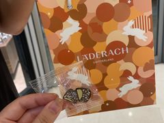 -Laderach 莱德拉(上海环贸iapm店)