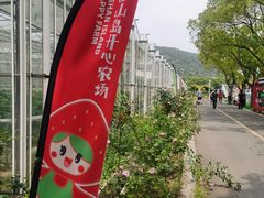 -苏州太湖西山岛开心农场