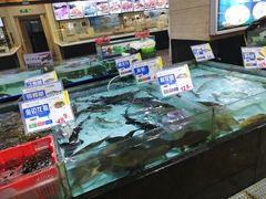 零售区-渔民新村(番禺总店)