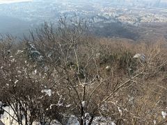 -紫金山山顶公园