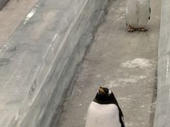 -长沙湘江欢乐雪域