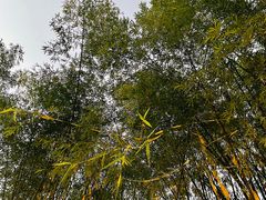 -一粥(华侨城创意文化园店)