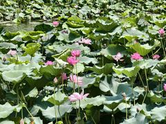 -苏州吴中太湖旅游区