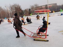 -沈阳奥体冰雪嘉年华