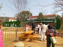 -青龙山国家森林公园