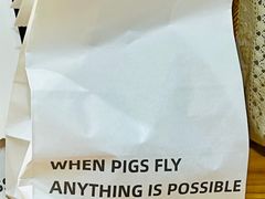 -WHEN PIGS FLY当猪飞