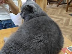 -Rabbit Cafe私房西餐甜点咖啡(栖霞路店)