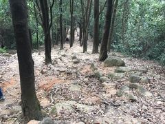 -火炉山森林公园