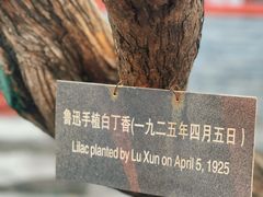 -北京鲁迅博物馆(北京新文化运动纪念馆鲁博馆区)