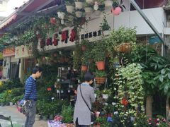 -溪岸路花鸟市场