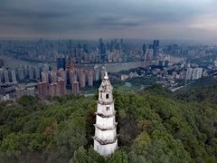 -南山植物园