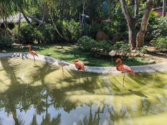 -三亚蜈支洲岛旅游区
