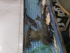 -百姓食府(秦虹路店)