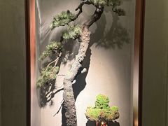 -觀芷隐轩
