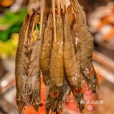 吃正宗四川火锅就认准葫芦娃🌟🌟🌟