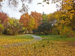 -国家植物园南园