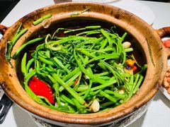 -煲煲好(朝阳门店)