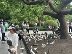 -杭州湖滨in77