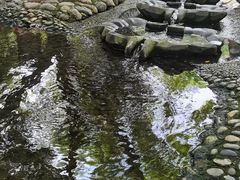 -成都市活水公园