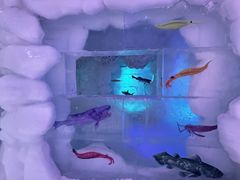 -世界之窗阿尔卑斯冰雪世界