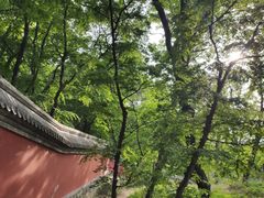 -阳台山自然风景区