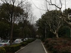 -新江湾城公园