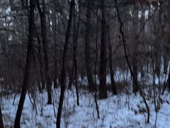 -帽儿山国家森林公园