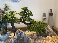 -阿德餐饮小秦川西北菜(福民路店)