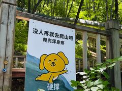 -帽儿山风景区