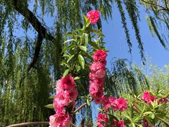 景点-陶然亭公园