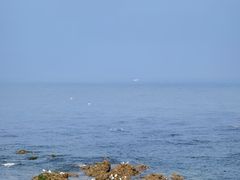 -棒棰岛宾馆景区