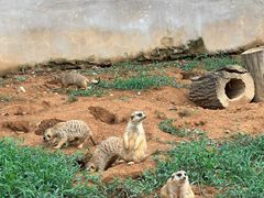 -杭州野生动物世界