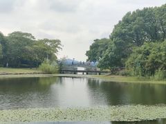-蠡湖大桥公园