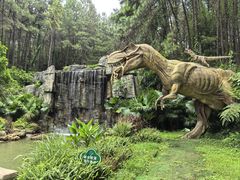 -森波拉奇妙世界