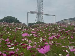 -君来湖滨饭店·渔餐厅