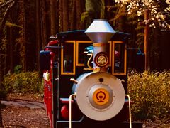 -上海共青森林公园