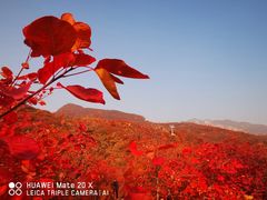 -周口店坡峰岭风景区