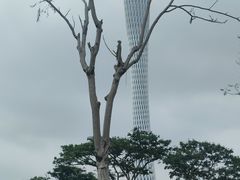 -海心沙亚运公园