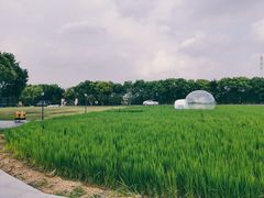 -MUSEO COFFEE咖啡博物馆