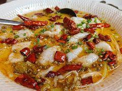 -新渝城·川菜·火锅(区庄店)