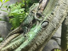 -瑞虹新天地月亮湾