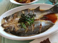 -闫水饺大酒楼·北京老闫靓马饺子馆
