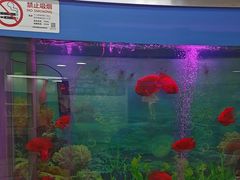 -雅悦齿科(顾村公园店)