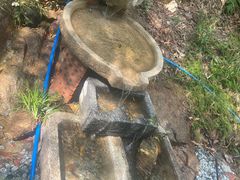 -广州白江湖森林公园